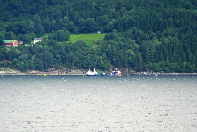 Tidenes beste første halvår for Lerøy