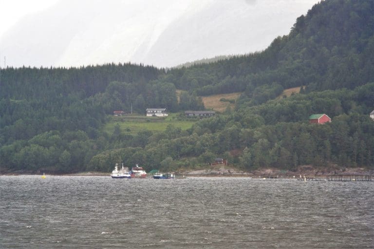 BKD-smitte påvist ved 15 anlegg i Midt-Norge. 12 av dem tilhører Lerøy