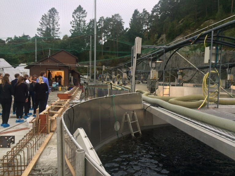 Blom Settefisk vil doble på Strømsnes