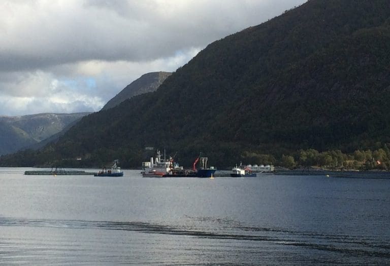 PD-påvisning i Sognefjorden