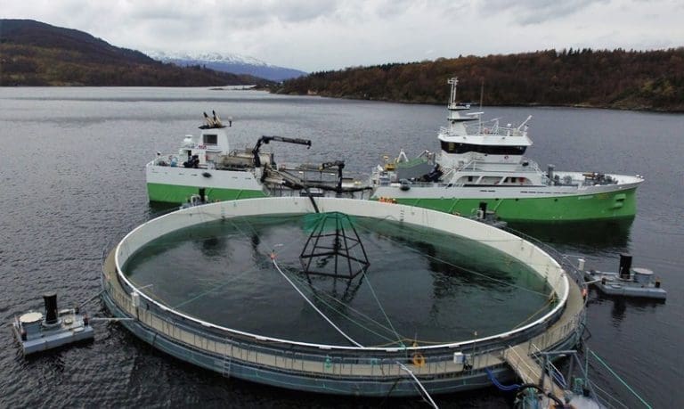 Skal sette ut 600.000 smolt i &laquo;Neptun 3&raquo; i oktober: – Resultatene hittil er lovende