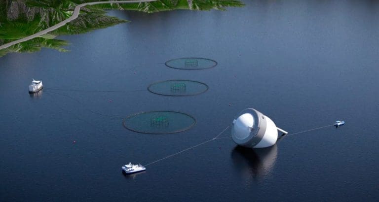 Marine Harvest får ytterligere to tillatelser