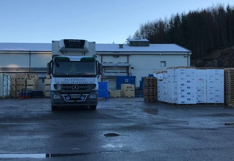 Det er normalt sett årets travleste eksportuke, men i år ble det nedtur