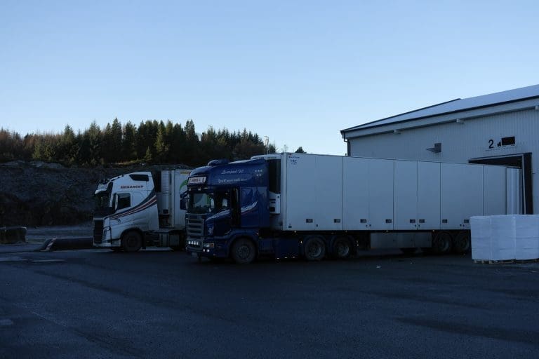 Årsbeste for lakseprisen