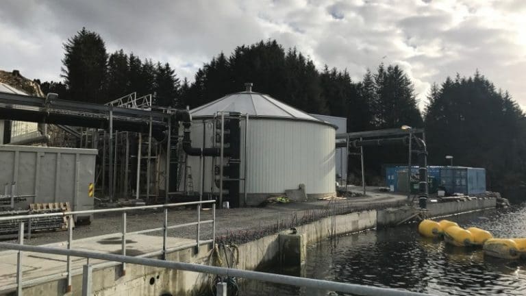 – Det er mer skånsomt for fisken