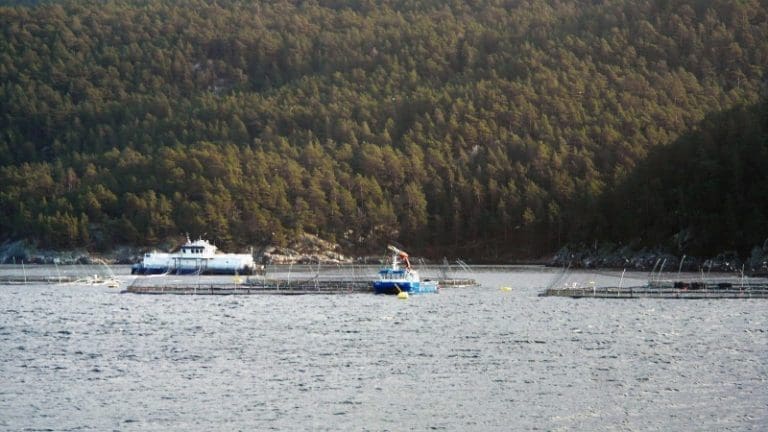 Prisfallet stopper opp