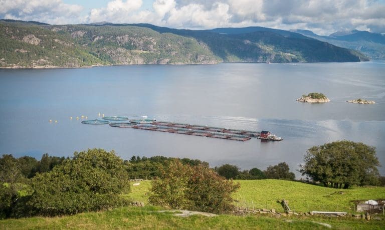 ILA-utbruddet i 2022 satte en demper for Eidesvik Laks