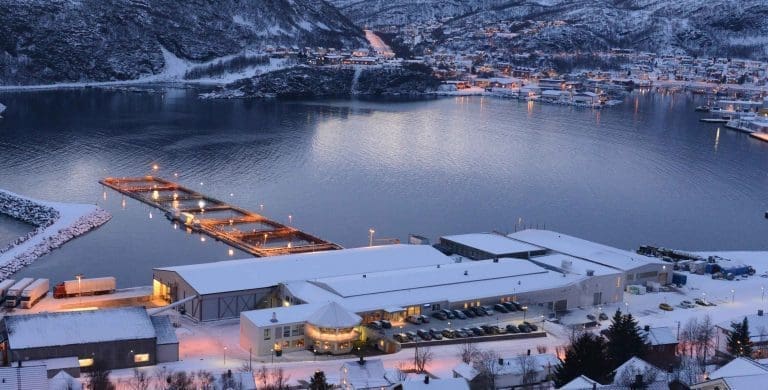 Lerøy Aurora skrinlegger planer om filetfabrikk på Skjervøy