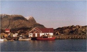 Landøy Fiskeoppdrett slo tilbake etter svakt 2015