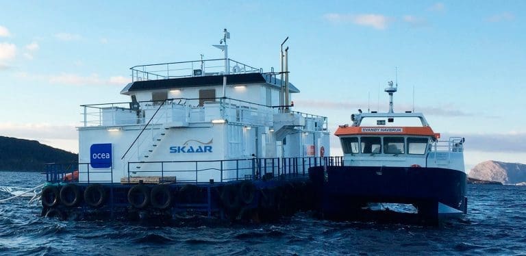 Salgshopp og styrket bunnlinje for Skaar Norway