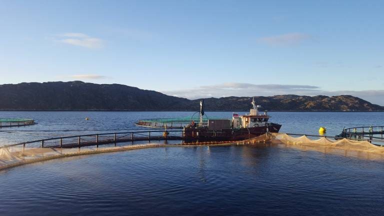 Russian Aquaculture utsteder obligasjonslån