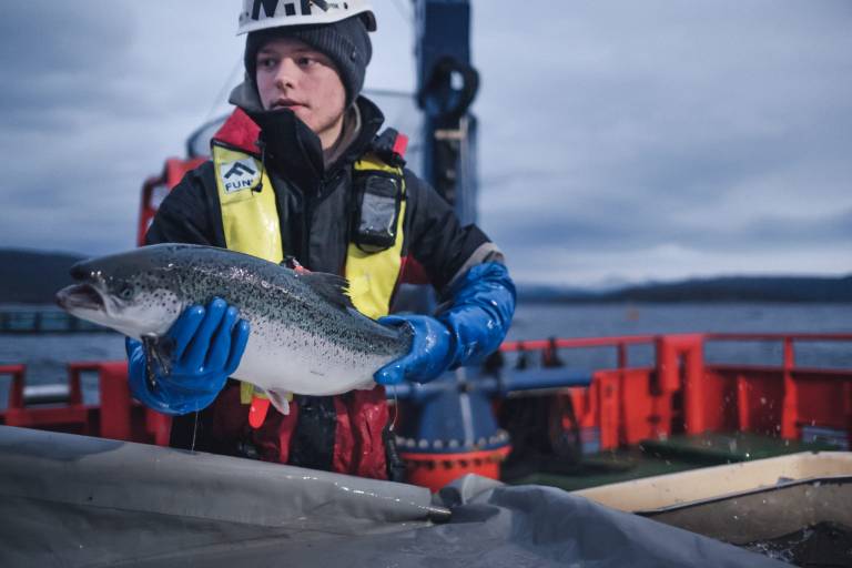Cermaq vil øke produksjonen i Gammelveggen i Narvik
