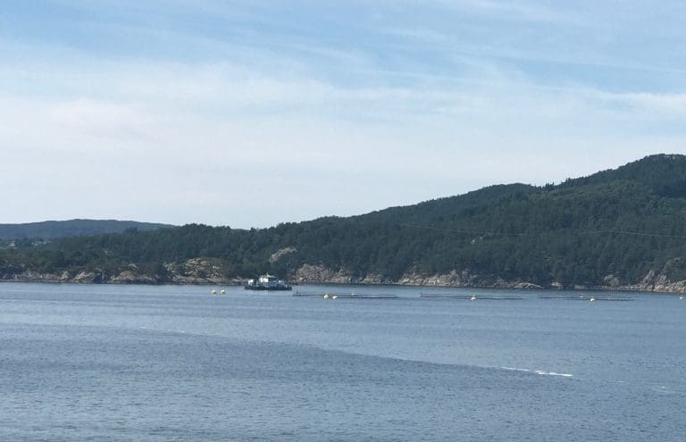 Håper nedsenkbare merder kan styrke fiskevelferden