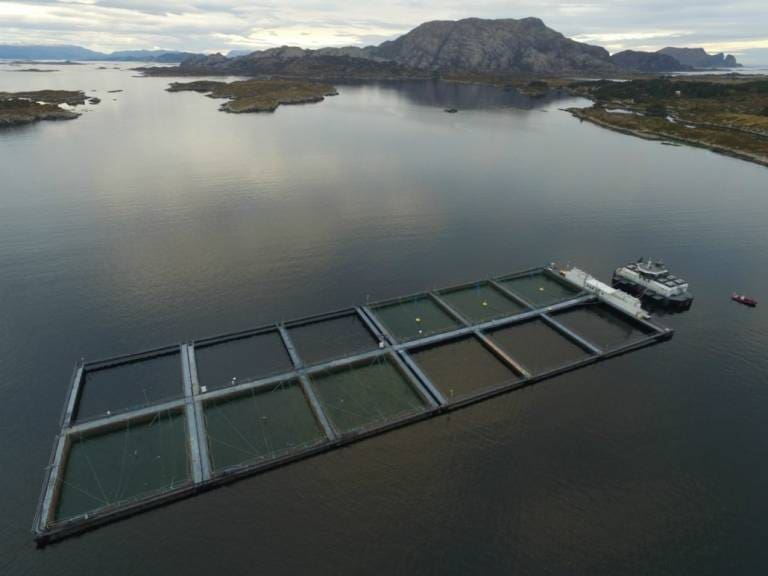 E. Karstensen Fiskeoppdrett snublet i andre halvår – svakeste resultat siden 2015