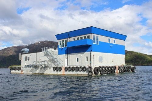 Har bygd 82 fôringsflåter til den marine næringen