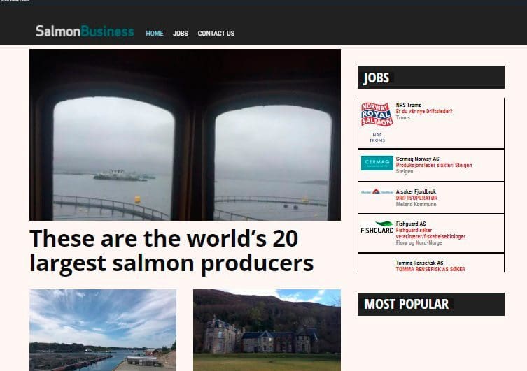iLaks satser internasjonalt: Nå er SalmonBusiness.com lansert
