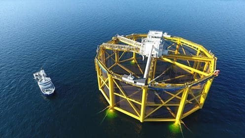 Tilfreds med lavt relativt svinn etter at “bare” 15.805 laks rømte fra SalMars havmerd