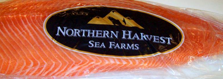 Beilerne flokker seg rundt Northern Harvest