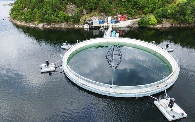 Marine Harvests lukkede anlegg på Molnes igjen rammet av amøbegjellesykdom