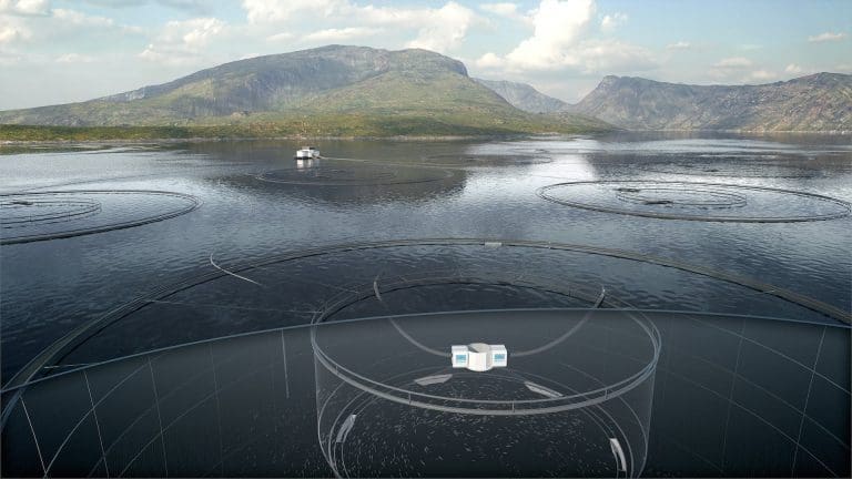– Digitalisering og maskinlæring gjør det mulig å følge hver enkelt fisk uten å stresse fisken