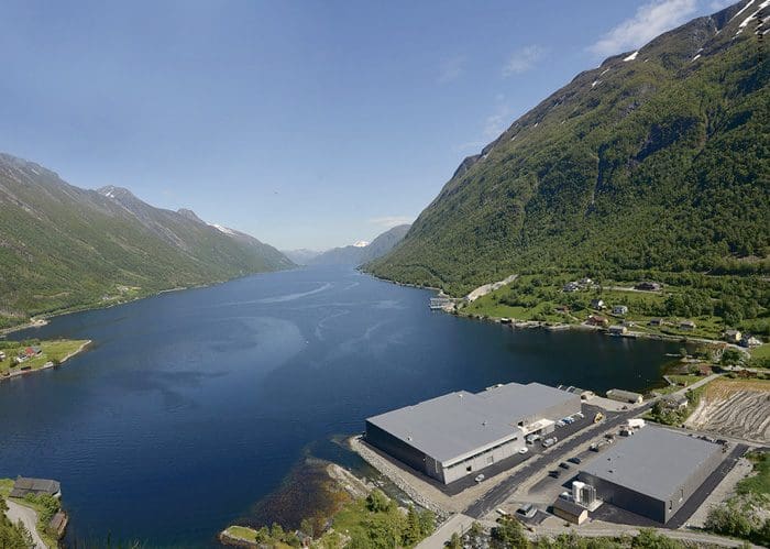 Over 700.000 smolt døde momentant ved Marine Harvest-anlegg