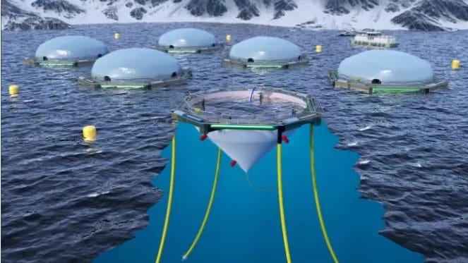 Nedtur for Cermaq