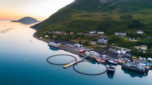 Ett år etter åpningen av fryseriet hos Arctic Filet: Dette har vært de største utfordringene