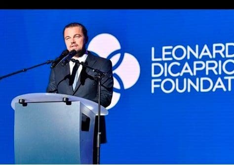 Leonardo DiCaprio skal selge norsk laks sammen med Whole Foods