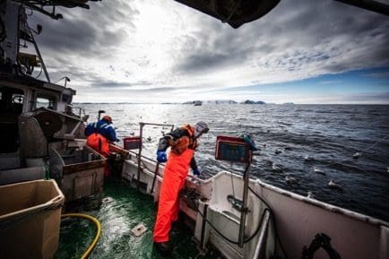 Finnmark Fisk landet lånegaranti fra GIEK