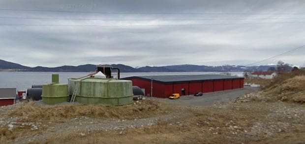 Aldri tidligere påvist sykdomsfremkallende virus: – Virusfunnet kommer derfor svært overraskende