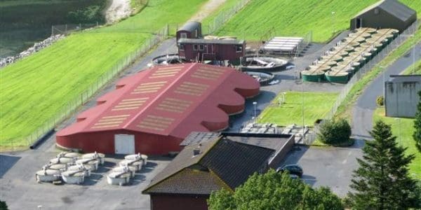 NINA-kontrakt verdt 3,5 mill. var ulovlig