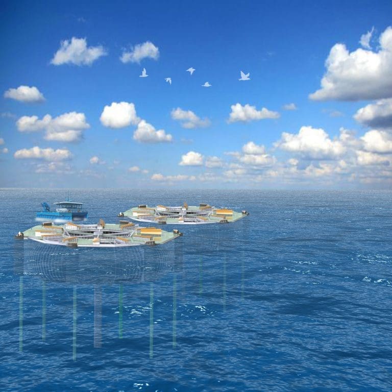 Departementet avviser klage, og opprettholder vedtak for Marine Harvests “Donut”