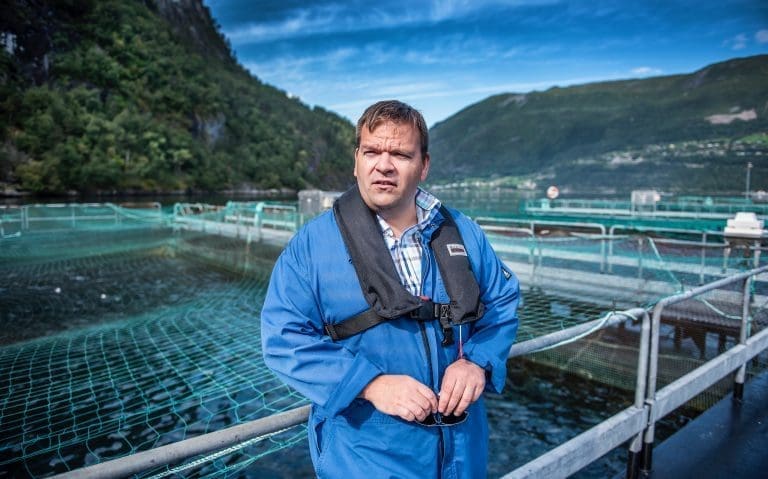 Hofseth-selskap tapte i retten mot advokat, advokatfirma og forsikringsselskap etter at kai ble smadret