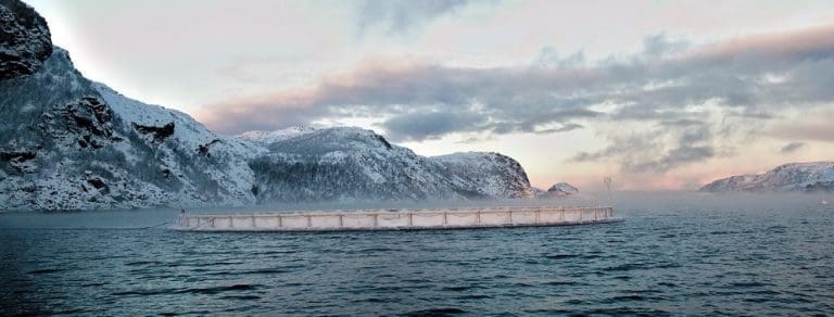 Lassesen tar over roret i Villa Seafood 