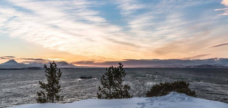 Senja blir største havbrukskommune i Troms: –  Det er &laquo;steikanes&raquo; forpliktende