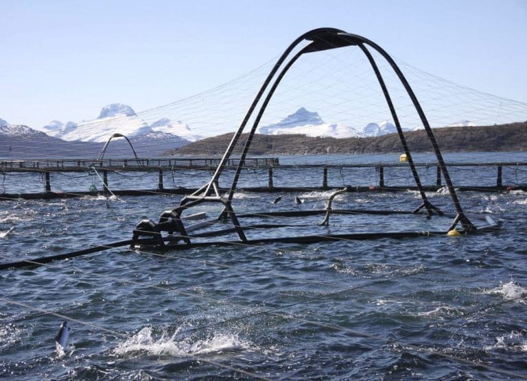Marine Harvest i &laquo;forsoningsmøte&raquo; med lokale fiskere på Helgeland