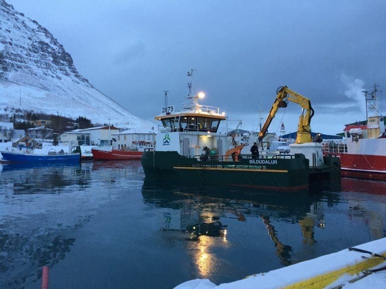 Islandsk oppdretter dro inn 60 mill. på driften