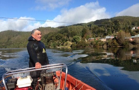 SalmonChile-president avviser at &laquo;red tide&raquo; skyldes lakseoppdrett