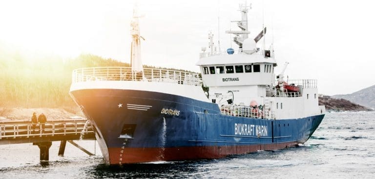 Scanbio-sjef: – Hadde Marine Harvest blitt med på dette samarbeidet kunne det blitt «verdens mest effektive trekant»