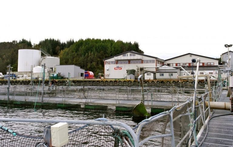 Ansatte kjøper konkursboet i Norse Production – uklart om alle 120 får fortsette