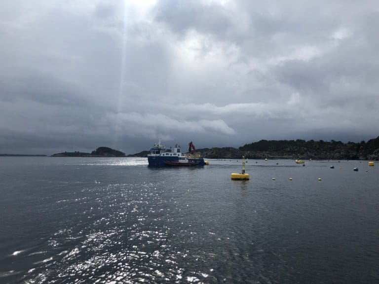 Lavere pris og slaktevolum dempet Lerøy-resultat