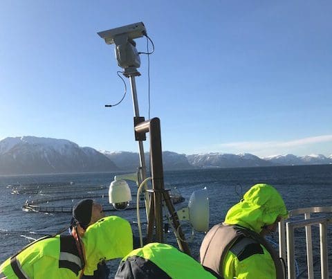 Bruker laser for å holde sjøfugl unna oppdrettsanleggene