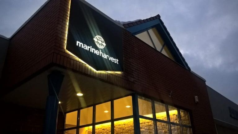Primærinnsidere i Marine Harvest innløser opsjoner