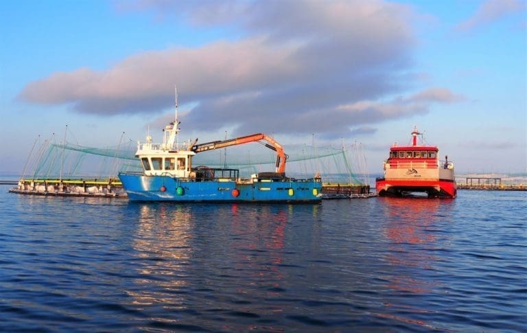 Finnmark fylkeskommune fikk innvilget undervisningstillatelse