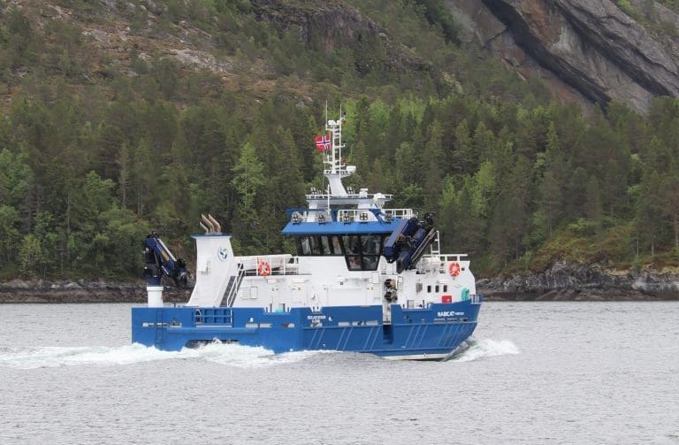 Ny katamaran til Sulefisk