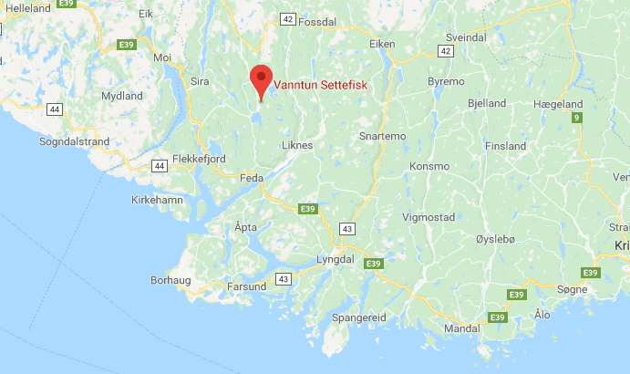 Gravearbeider gjorde at 2.100 ørret døde i settefiskanlegg: – Det kunne blitt katastrofalt