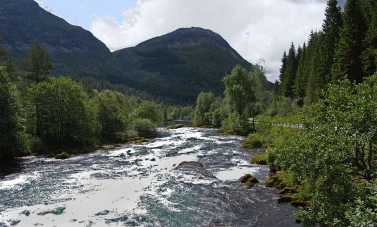 Færre elver med høyt innslag av rømt oppdrettslaks