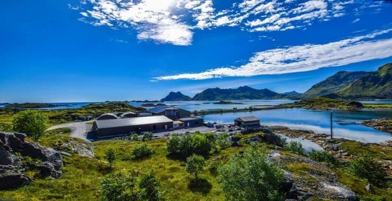 Resultatsmell for Arctic Cleanerfish etter biologiske utfordringer