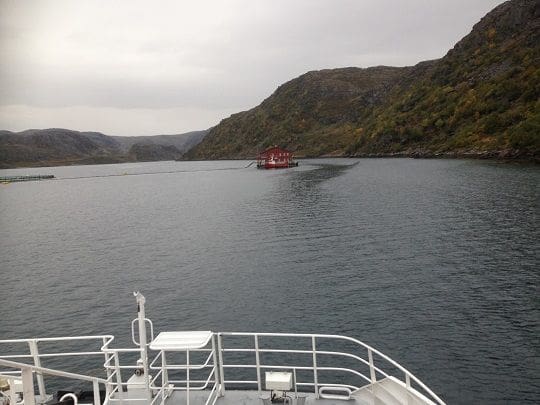 Cermaq frykter at inntil 10.000 laks kan være på rømmen etter brann på oppdrettsanlegg i Finnmark