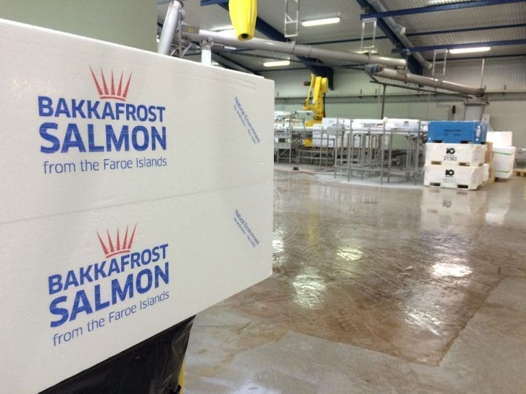 Slakt av storlaks med høy superior-andel ga bedre resultat enn ventet for Bakkafrost
